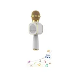 microfon wireless karaoke pentru copii impact vision®, cu acumulator, boxa inclusa, radio fm, tf card, usb, inregistrare muzica, culoare gold