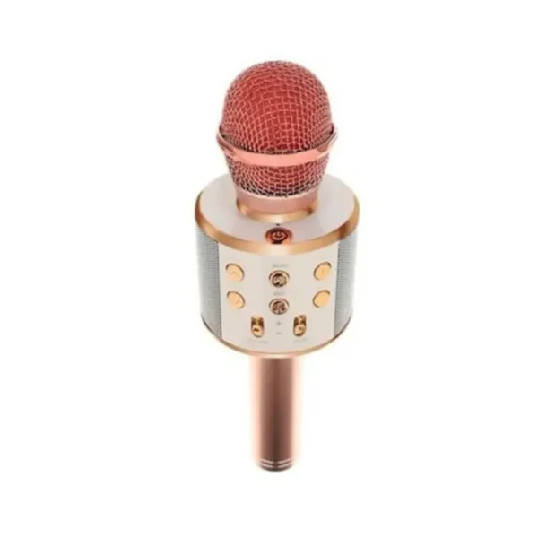 Microfon karaoke wireless