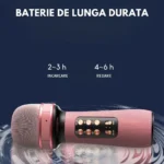 Detalii baterie microfon wireless