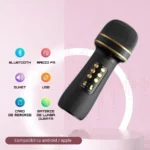 Caracteristici importante microfon karaoke wireless