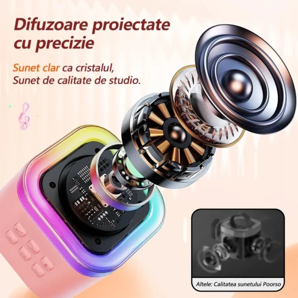 set boxa karaoke 7 Evidentierea calitatii difuzorului