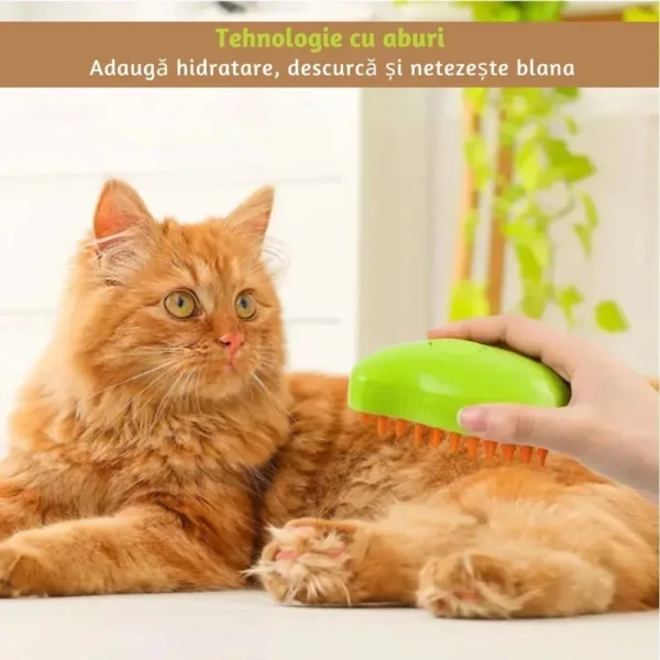 perie pentru curatarea parului de pisici, caini sau alte animale de companie, 3 in 1 multifunctionala, cu aburi, pulverizare si dozator incorporat, reincarcabila prin usb, verde , impact vision® Pisică roșcată periată cu pieptene verde