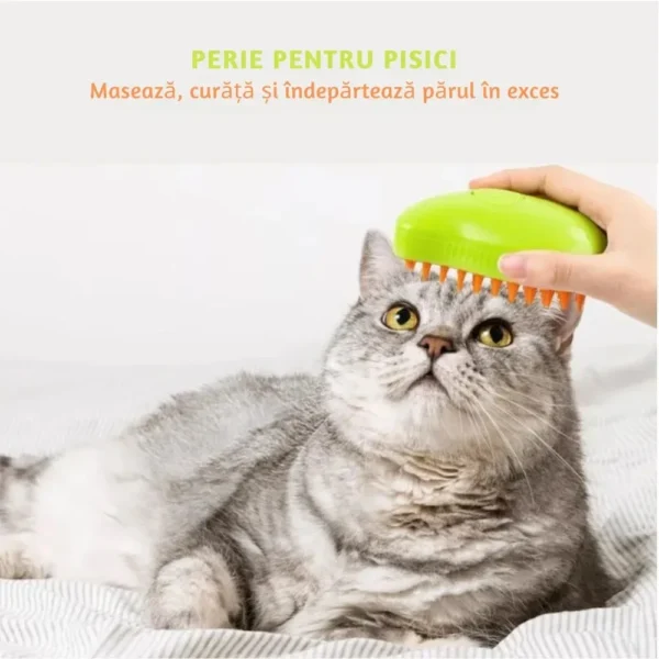 perie pentru curatarea parului de pisici, caini sau alte animale de companie, 3 in 1 multifunctionala, cu aburi, pulverizare si dozator incorporat, reincarcabila prin usb, verde , impact vision® Pisică gri periată cu perie verde