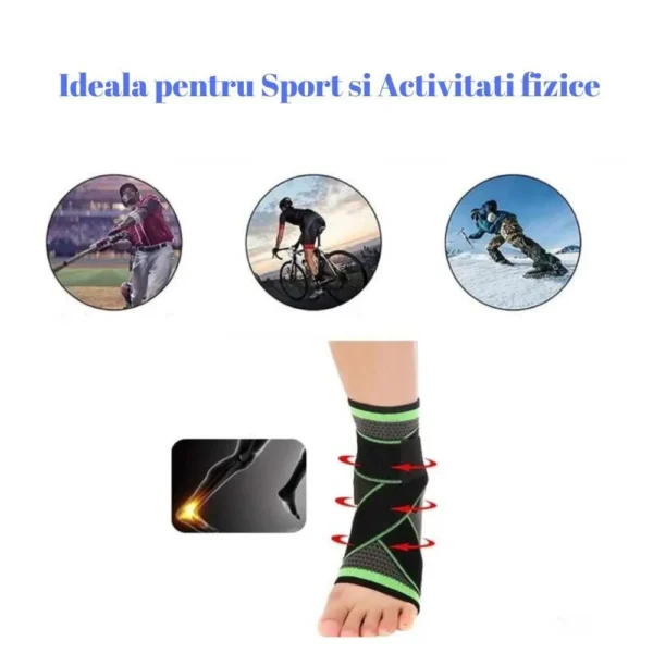 glezniera elastica 4 Exemple de folosinta pentru glezniera elastica