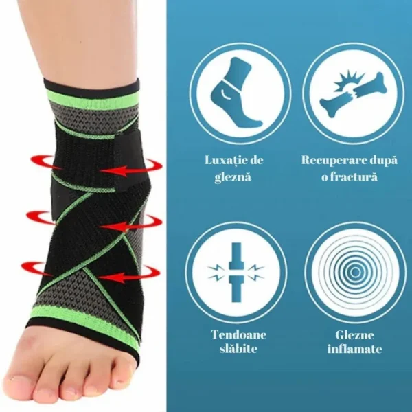 glezniera elastica 5 Functii glezniera elastica